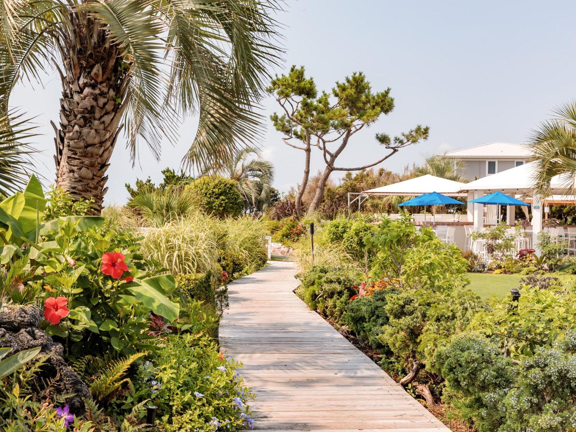 Trailborn Surf & Sound Hotel Wrightsville Beach Eksteriør billede